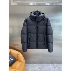 Louis Vuitton Down Jackets